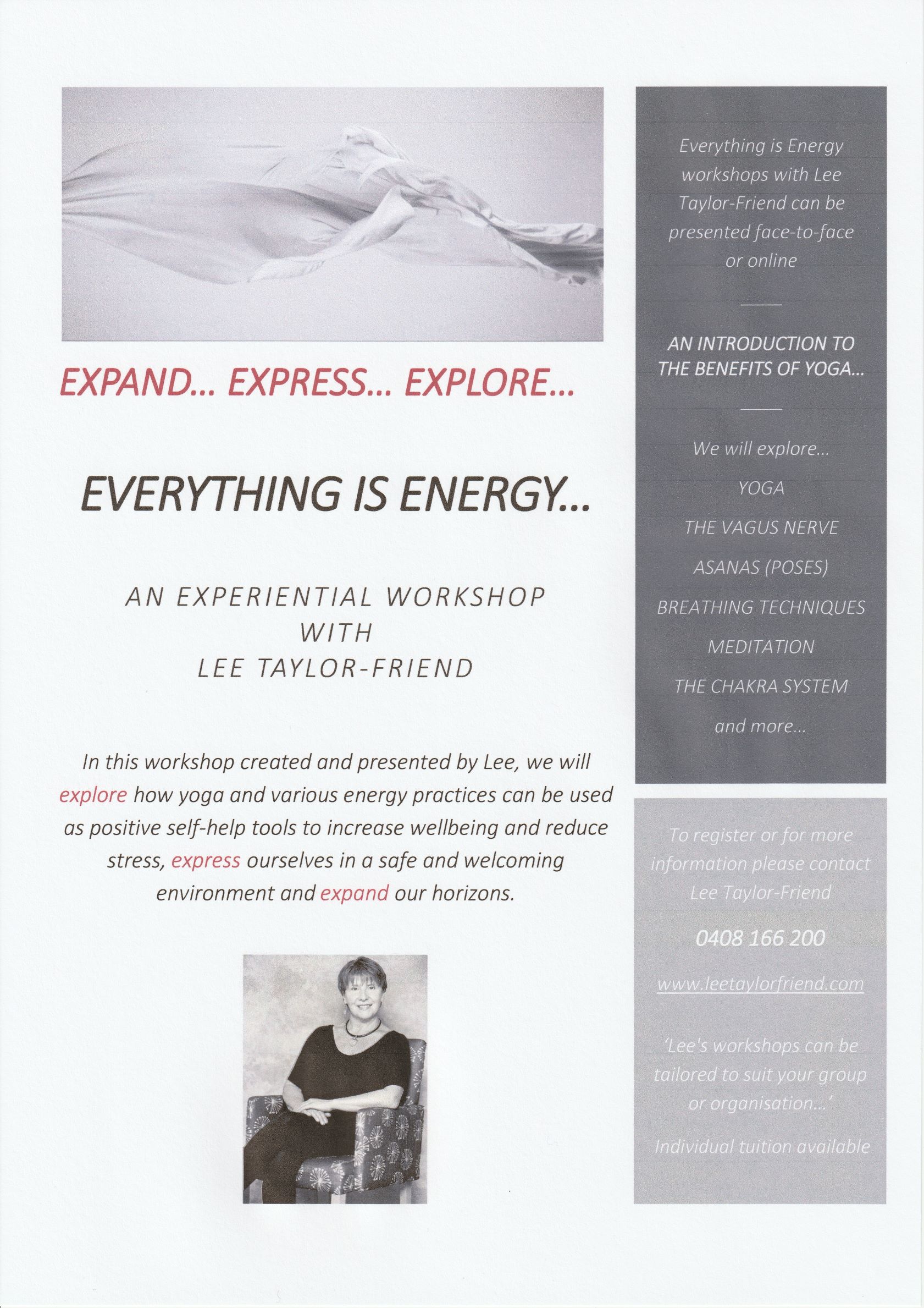 EVERYTHING IS ENERGY ONE WITH LEE TAYLOR FRIEND FLYER JPEG